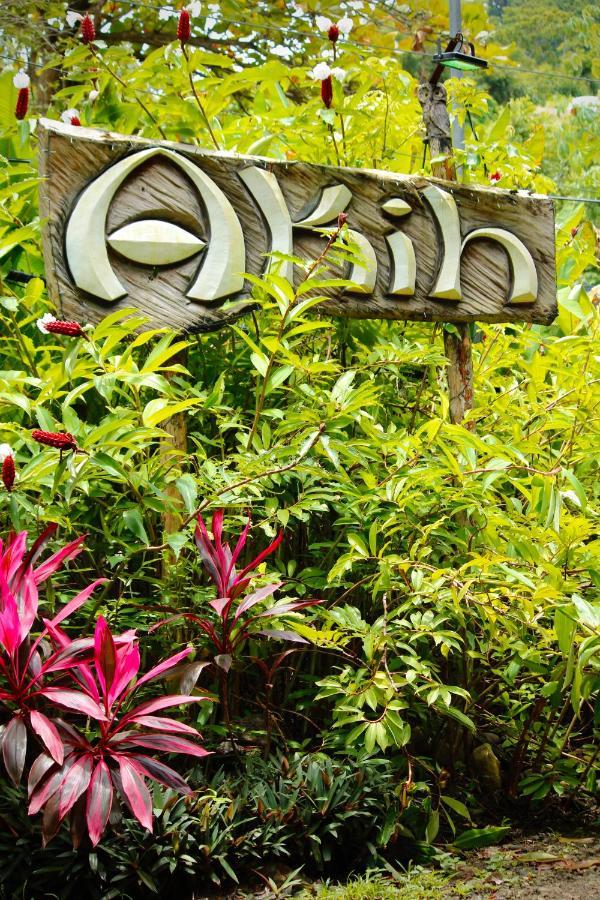 Akih Pods Hostel Playa Santa Teresa  ภายนอก รูปภาพ